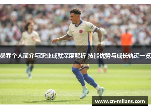 桑乔个人简介与职业成就深度解析 技能优势与成长轨迹一览
