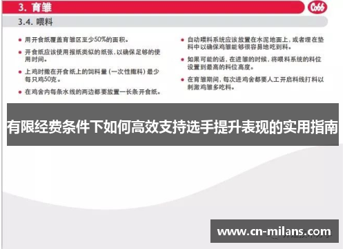 有限经费条件下如何高效支持选手提升表现的实用指南