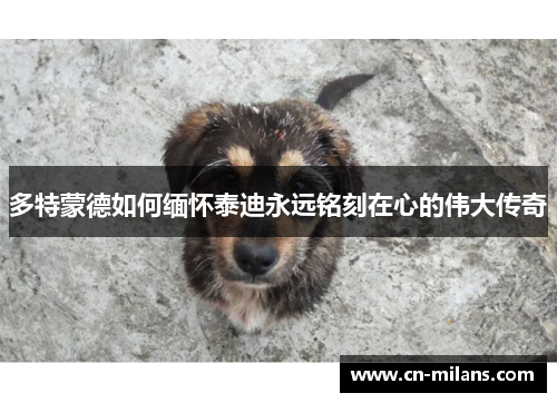 多特蒙德如何缅怀泰迪永远铭刻在心的伟大传奇