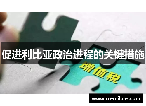 促进利比亚政治进程的关键措施