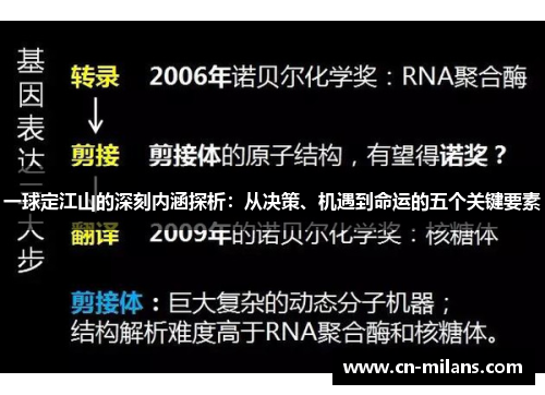 一球定江山的深刻内涵探析：从决策、机遇到命运的五个关键要素