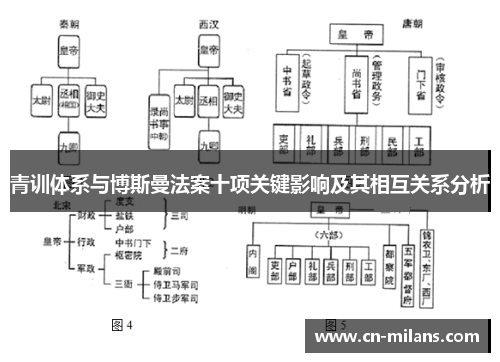 青训体系与博斯曼法案十项关键影响及其相互关系分析