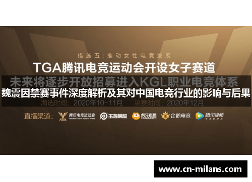 魏震因禁赛事件深度解析及其对中国电竞行业的影响与后果
